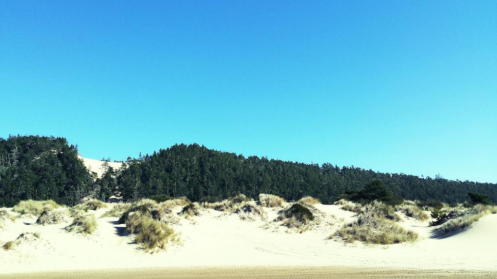 Best Budget Inn Reedsport Buitenkant foto